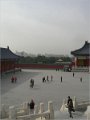 Beijing  (339)